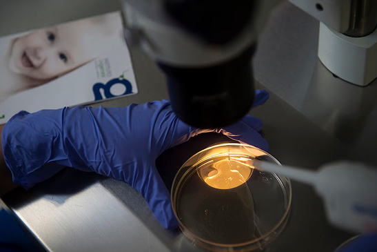 Slider image (8) Ingenes Monterrey